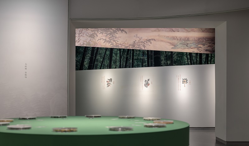 29六单元（中医养生文化展）