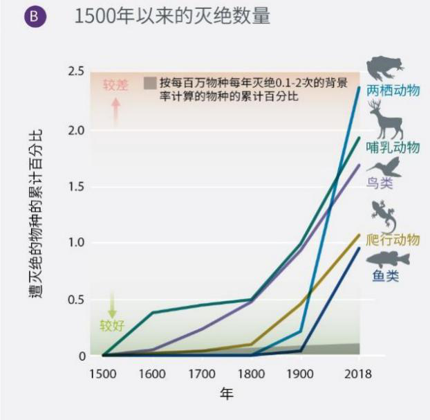图片39.png