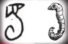 640.webp (4).png