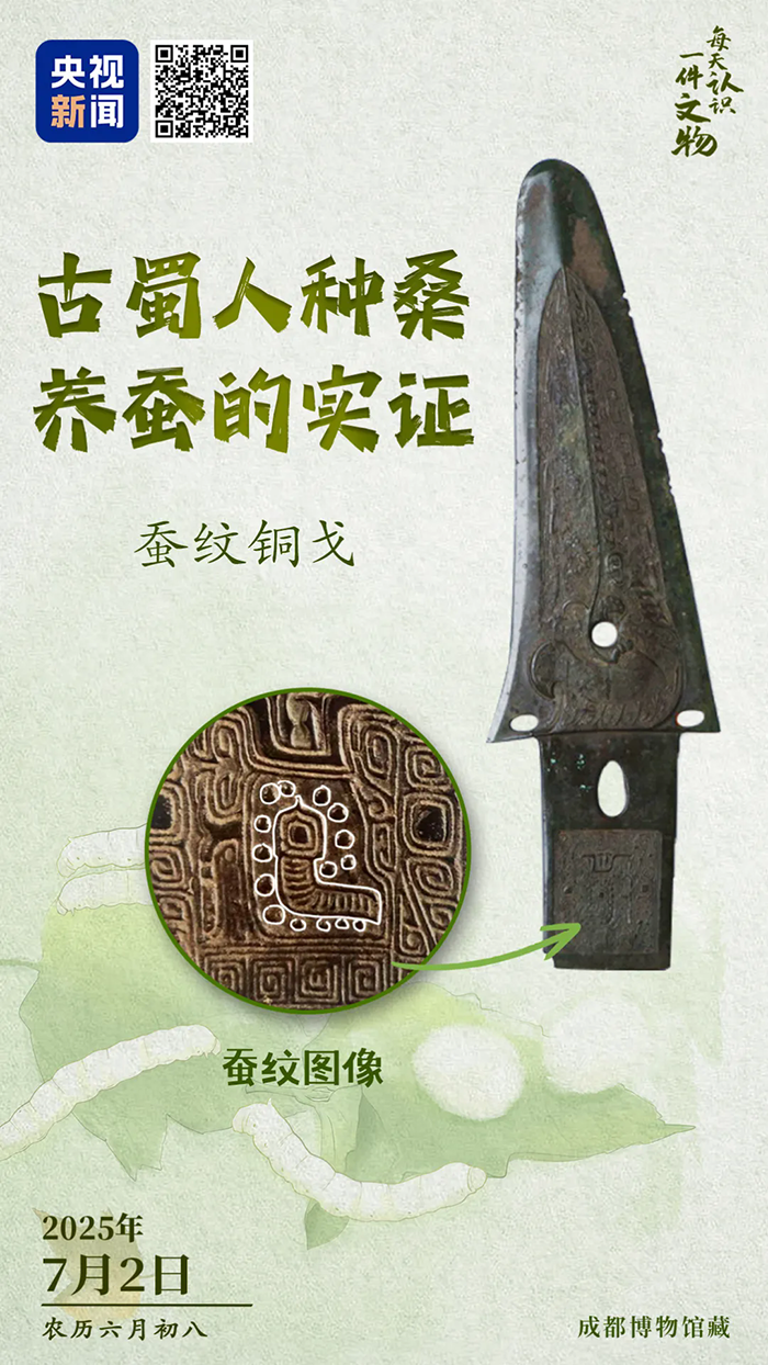 640.webp (9).png