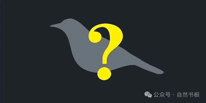 1765157870825121.png 640.webp (5).png