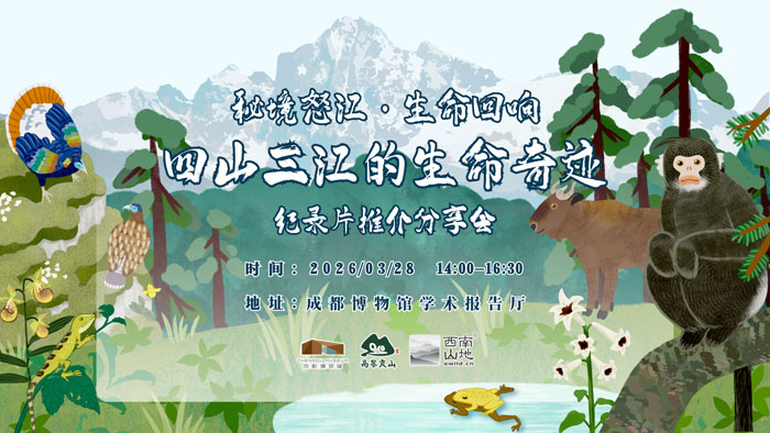 1774509393573728.jpg 5_807.jpg